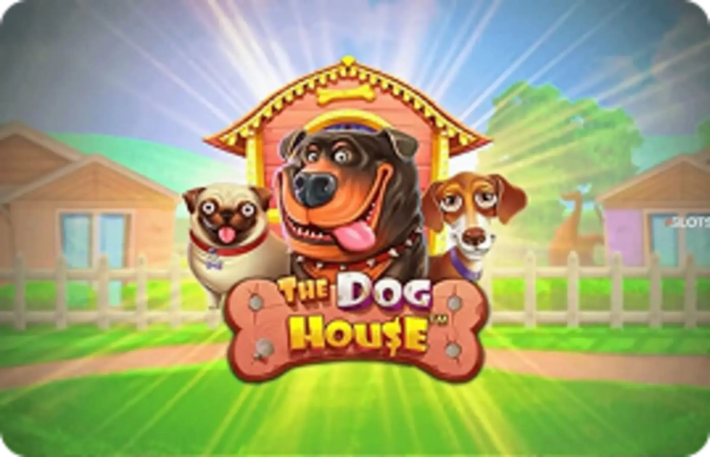 The Dog House